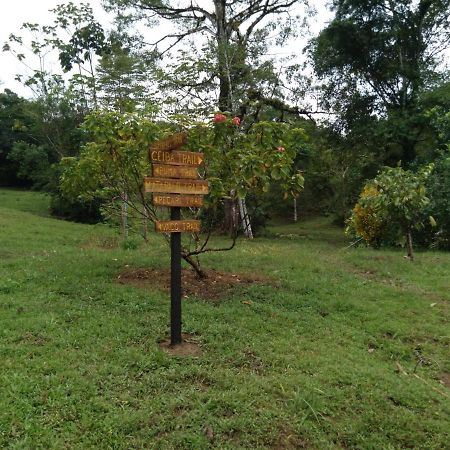 Finca Sueno De Osa Puerto Jiménez 外观 照片