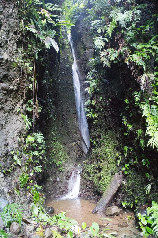 Finca Sueno De Osa Puerto Jiménez 外观 照片