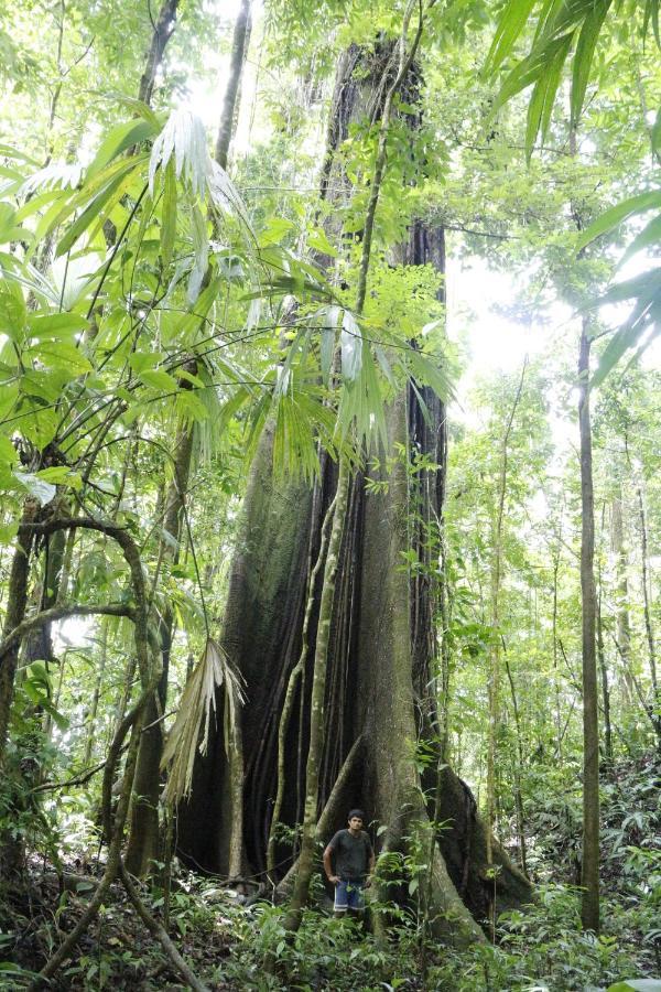 Finca Sueno De Osa Puerto Jiménez 外观 照片