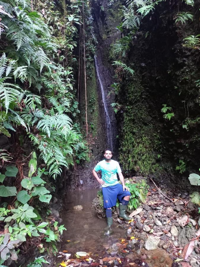 Finca Sueno De Osa Puerto Jiménez 外观 照片