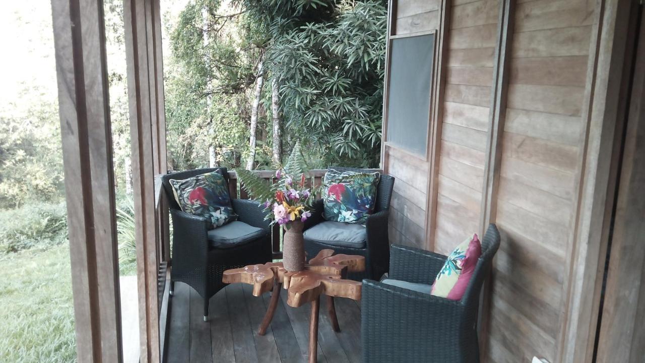 Finca Sueno De Osa Puerto Jiménez 外观 照片