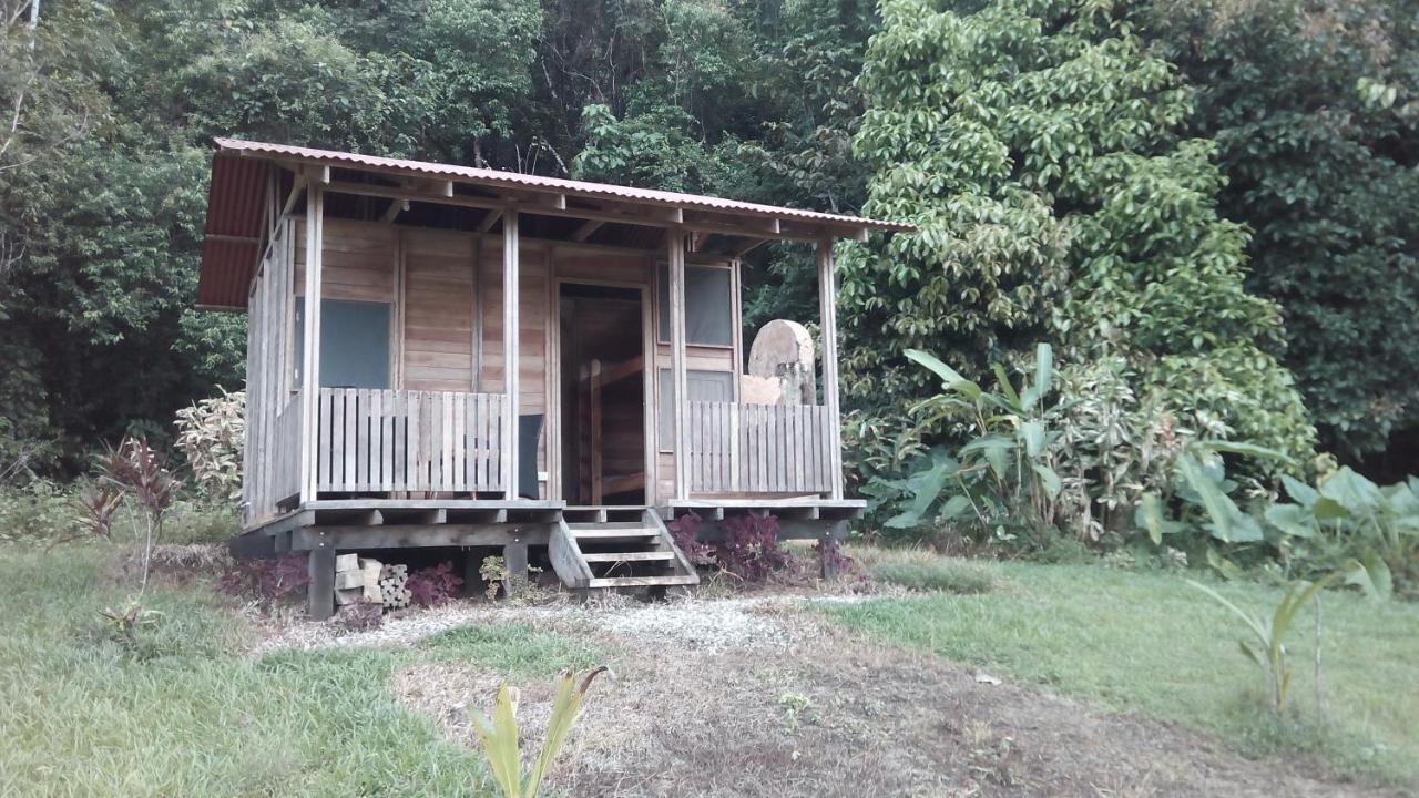 Finca Sueno De Osa Puerto Jiménez 外观 照片